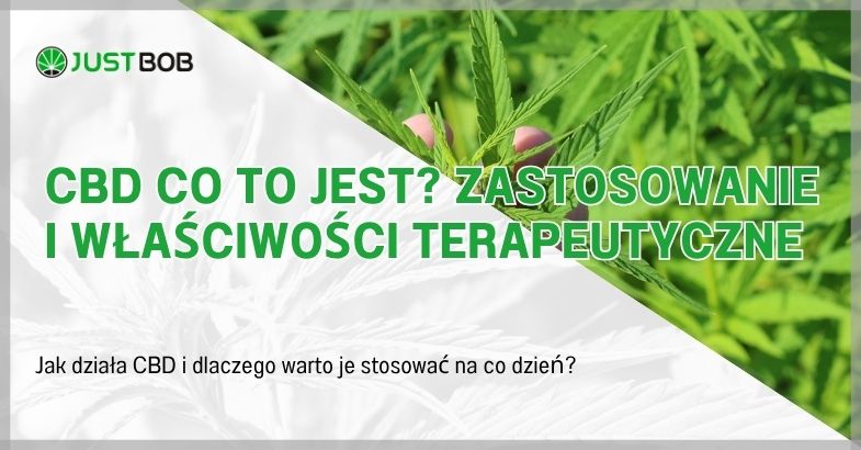 Cbd co to jest? Zastosowanie i właściwości terapeutyczne
