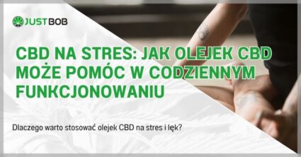 CBD na stres: Jak Olejek CBD Może Pomóc w Codziennym Funkcjonowaniu