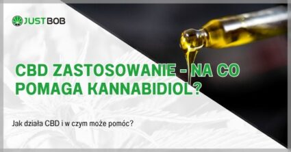 CBD Zastosowanie - Na Co Pomaga Kannabidiol?