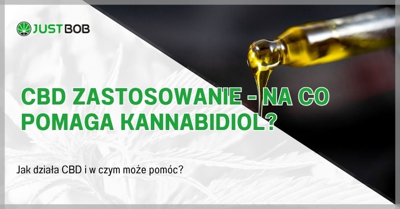 CBD Zastosowanie - Na Co Pomaga Kannabidiol?