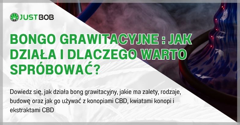 Bongo grawitacyjne : jak działa i dlaczego warto spróbować?
