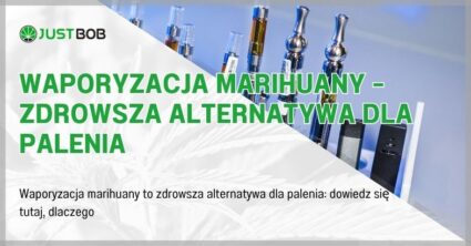 Waporyzacja marihuany – zdrowsza alternatywa dla palenia