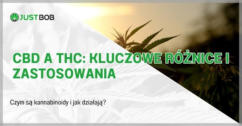 CBD a THC: Kluczowe Różnice i Zastosowania