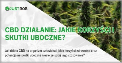 CBD Działanie: Jakie Korzyści i Skutki Uboczne?