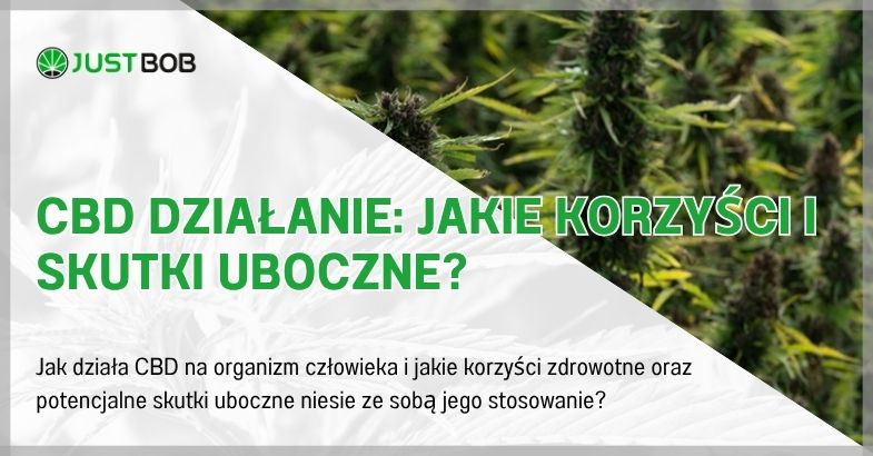 CBD Działanie: Jakie Korzyści i Skutki Uboczne?