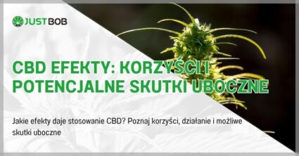 CBD Efekty: Korzyści i Potencjalne Skutki Uboczne