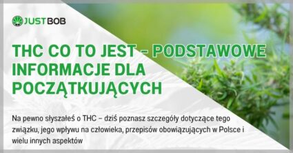 THC co to jest – podstawowe informacje dla początkujących