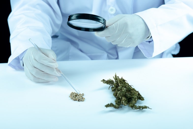 Jak usunąć THC z organizmu