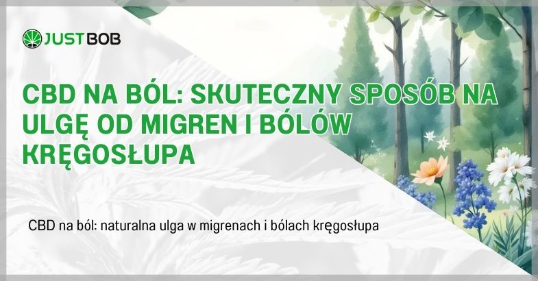 CBD na ból: Skuteczny sposób na ulgę od migren i bólów kręgosłupa