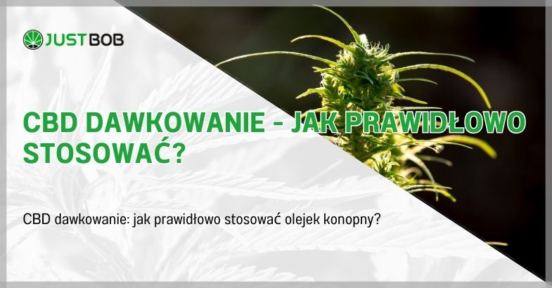 CBD dawkowanie - Jak prawidłowo stosować?