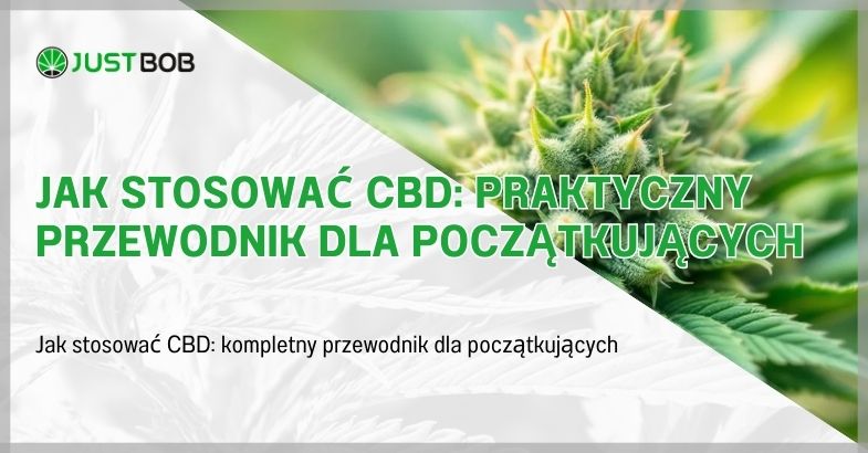 Jak stosować CBD: praktyczny przewodnik dla początkujących