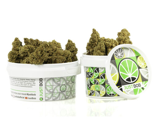 Słoik z suszem CBD – Double Cookies