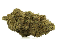 Susz CBD – Double Cookies