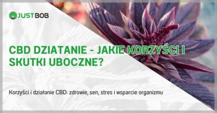 CBD Dziatanie - Jakie Korzyści I Skutki Uboczne?
