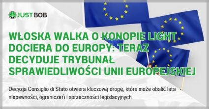 Włoska walka o konopie light dociera do Europy