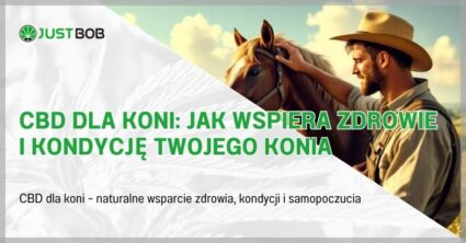 CBD dla koni: Jak wspiera zdrowie i kondycję Twojego konia