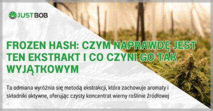 Frozen hash: czym naprawdę jest ten ekstrakt i co czyni go tak wyjątkowym