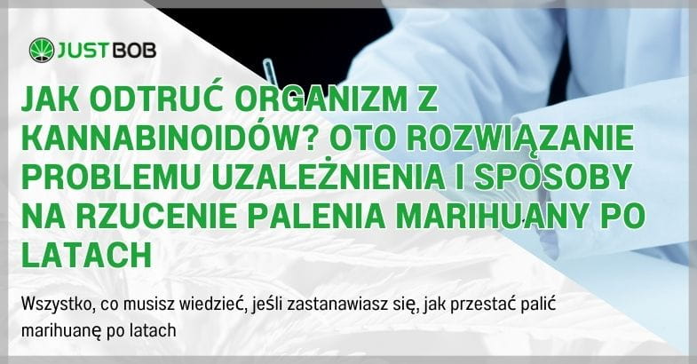 Jak odtruć organizm z kannabinoidów? Oto rozwiązanie problemu uzależnienia