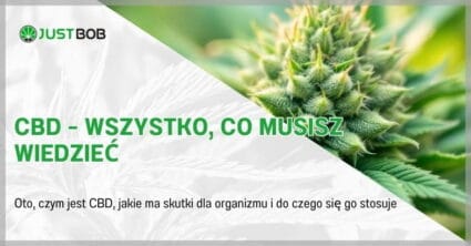 CBD – wszystko, co musisz wiedzieć
