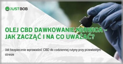 Olej CBD dawkowanie nerwica – jak zacząć i na co uważać?