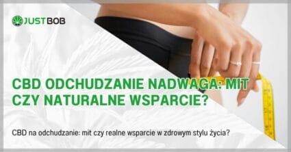CBD Odchudzanie Nadwaga: Mit czy Naturalne Wsparcie?