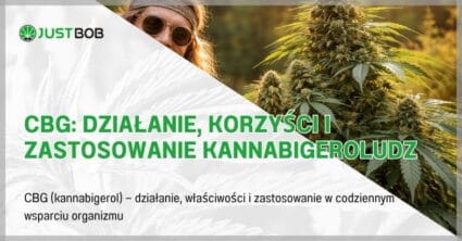 CBG: Działanie, korzyści i zastosowanie kannabigeroludz