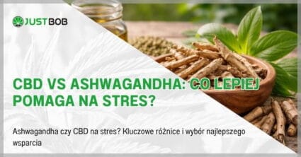 CBD vs ashwagandha: Co lepiej pomaga na stres?