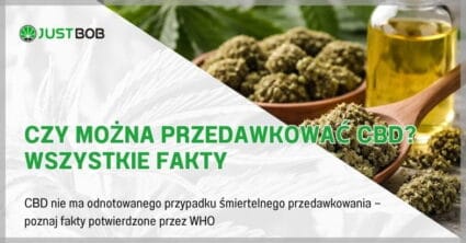 Czy można przedawkować CBD? Wszystkie fakty