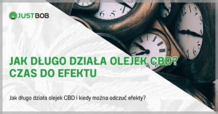 Jak długo działa olejek CBD? Czas do efektu