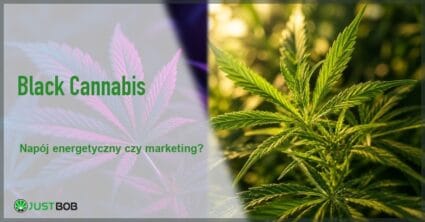 Baner z zielonym tytułem i logo Justbob; po prawej: dwa liście konopi obok siebie, jeden w fioletowym neonie, drugi w zielonym słońcu
