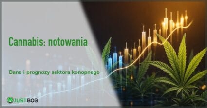 Baner z zielonym tytułem i logo Justbob; po prawej: świecące wykresy giełdowe w niebieskich i złotych tonach z liśćmi konopi na ciemnym tle