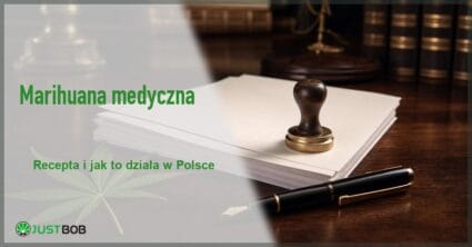 Baner z zielonym tytułem i logo Justbob; po prawej: stos białych kartek z drewnianą pieczątką, wieczne pióro i liść konopi na biurku
