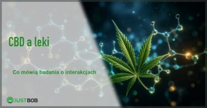 Baner z zielonym tytułem i logo Justbob; po prawej: zielony liść konopi na tle świecących struktur cząsteczkowych w niebiesko-złotych barwach