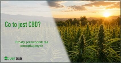 Baner z zielonym tytułem i logo Justbob; po prawej: pole konopi o zachodzie słońca z pagórkami i rozświetlonym niebem w tle