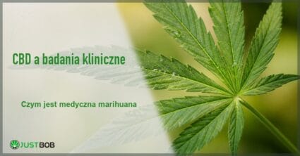 Baner z zielonym tytułem i logo Justbob; po prawej: makro pojedynczego zielonego liścia konopi na miękkim rozmytym jasnozielonym tle