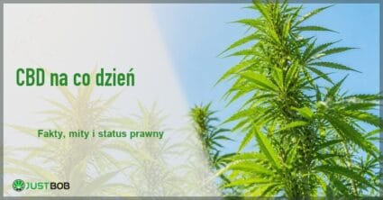 Baner z zielonym tytułem i logo Justbob; po prawej: wysokie rośliny konopi widziane od dołu na tle czystego błękitnego nieba