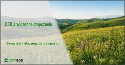 Baner z zielonym tytułem i logo Justbob; po prawej: zielona łąka z polnymi kwiatami i faliste wzgórza pod jasnym błękitnym niebem