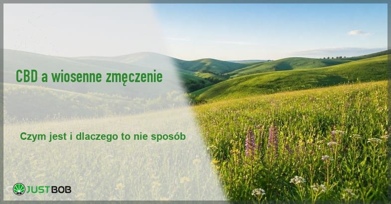wiosenna-laka-wzgorza-krajobraz-poranek Baner z zielonym tytułem i logo Justbob; po prawej: zielona łąka z polnymi kwiatami i faliste wzgórza pod jasnym błękitnym niebem