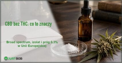 Baner z zielonym tytułem „CBD bez THC: co to znaczy” i logo Justbob; po prawej bursztynowa butelka z pipetą i gałązka konopi