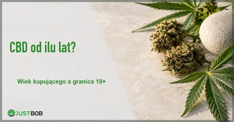 marihuana-lecznicza-pole-konopi-baner Baner artykułu z zielonym tytułem i logo Justbob; zdjęcie po prawej: pole konopi we mgle z wysokimi kwiatostanami