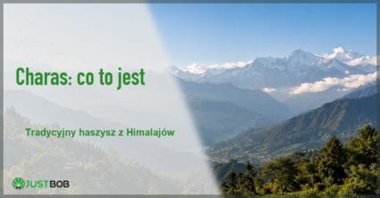 Baner artykułu o tym, czym jest charas, na tle górskiego krajobrazu Himalajów w świetle dziennym