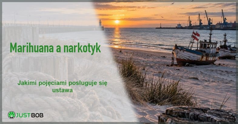 czy-marihuana-to-narkotyk-baltycki-brzeg-baner Baner artykułu z zielonym tytułem i logo Justbob; zdjęcie po prawej: bałtycki brzeg o wschodzie słońca z kutrami i molo