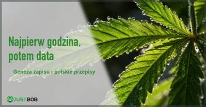 Baner artykułu z zielonym tytułem i logo Justbob; zdjęcie po prawej: podświetlony liść konopi pokryty kroplami rosy