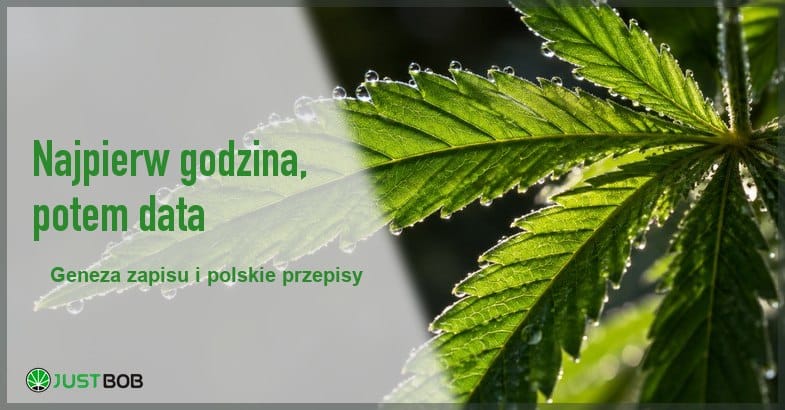 dzien-marihuany-podswietlony-lisc-konopi-baner Baner artykułu z zielonym tytułem i logo Justbob; zdjęcie po prawej: podświetlony liść konopi pokryty kroplami rosy