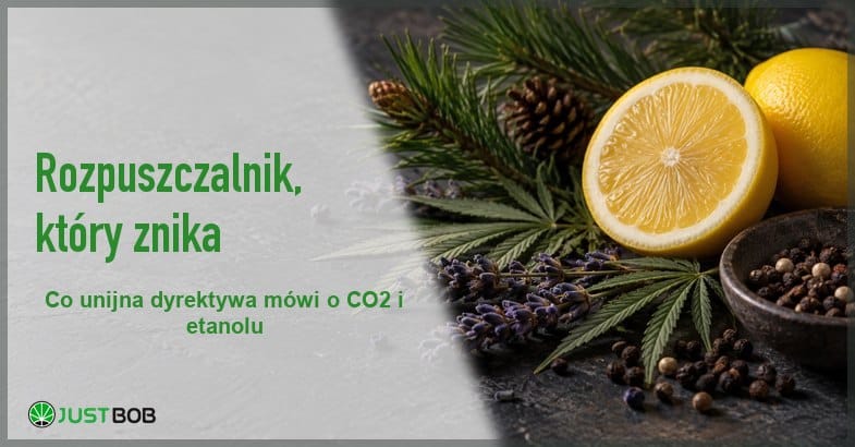ekstrakcja-co2-cytryna-lawenda-i-pieprz-baner Baner artykułu z zielonym tytułem i logo Justbob; zdjęcie po prawej: cytryna, lawenda, gałązki sosny i ziarna pieprzu na ciemnym łupku