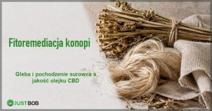 Baner artykułu z zielonym tytułem i logo Justbob, w tle wiązka suchych łodyg konopi siewnych i zwój jasnego włókna konopnego