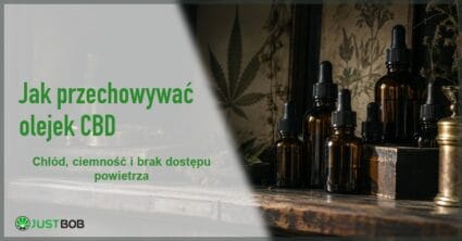 Baner artykułu z zielonym tytułem i logo Justbob; w tle ciemne szklane butelki z pipetą na starej aptecznej półce