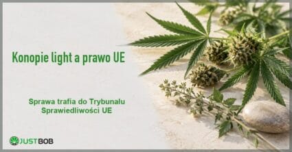 Baner z zielonym tytułem i logo Justbob; po prawej zielone liście i wierzchołki konopi oraz gładki kamień na jasnym, kamiennym tle