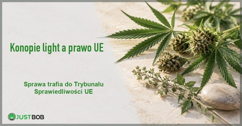 konopie-light-trybunal-sprawiedliwosci-baner Baner z zielonym tytułem i logo Justbob; po prawej zielone liście i wierzchołki konopi oraz gładki kamień na jasnym, kamiennym tle