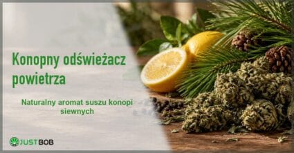Baner artykułu z zielonym tytułem i logo Justbob; w tle susz konopi siewnych, gałązka sosny, cytryna i ziarna pieprzu na drewnianym blacie